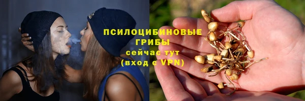 прущие крисы Алексин