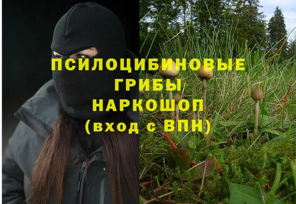 прущие крисы Алексин