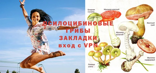 прущие крисы Алексин